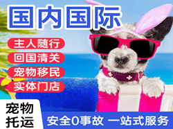 长白山空运地址国际宠物托运 【国